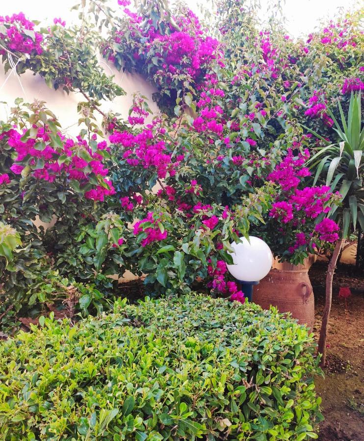 Villa Aphrodite Kolymbari Dış mekan fotoğraf